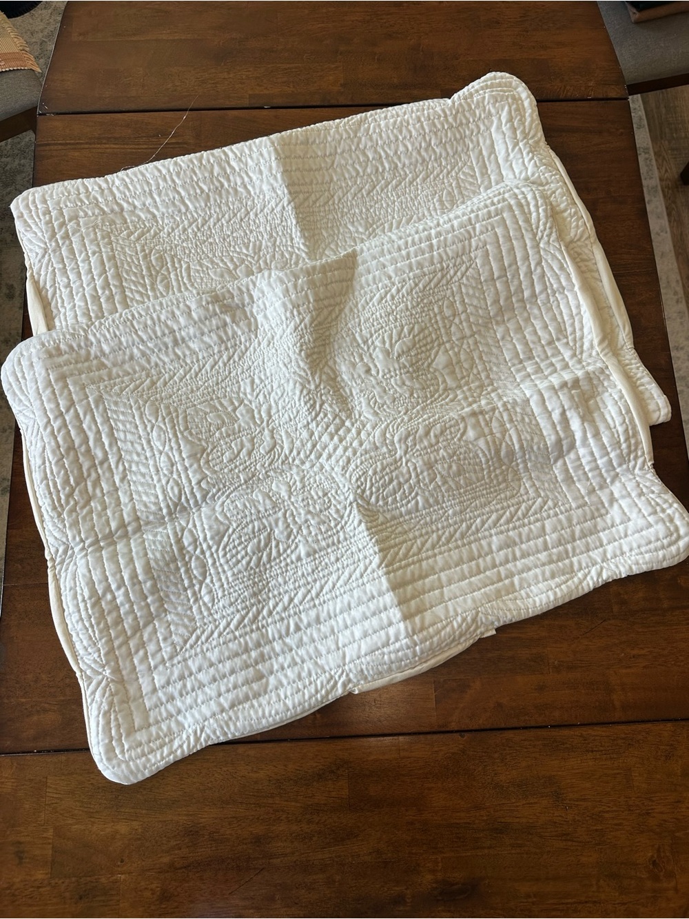 Madison Park Set of Two Pillow Shams